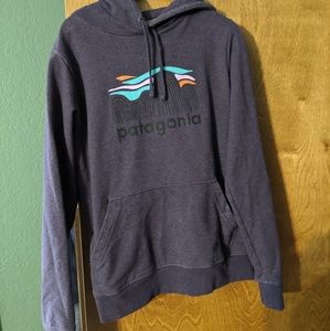 Patagonia Organic Cotton Hooded Sweatshirt